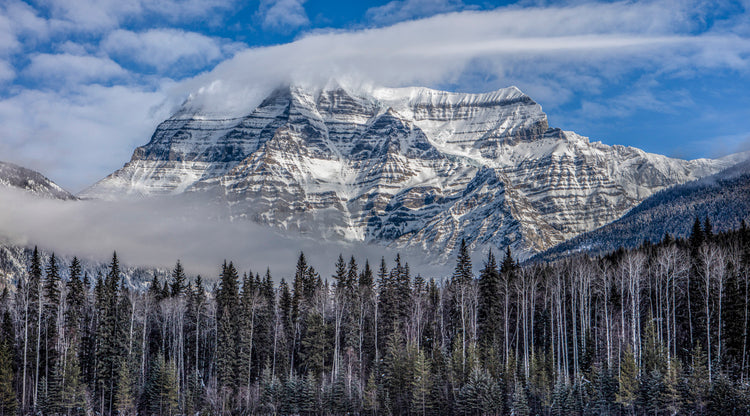 Majestic Snow-Capped Giant"
