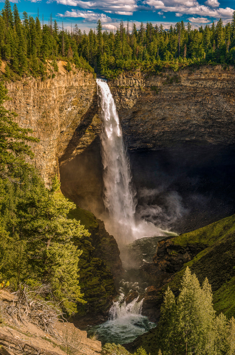 Waterfall cascading down a cliff into a pool surrounded by trees