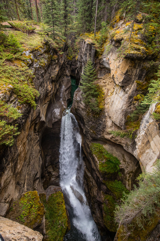 Maligne Canyon