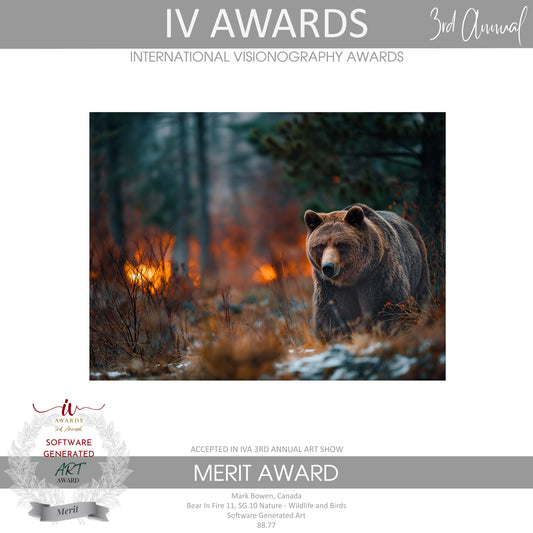Award IV 3