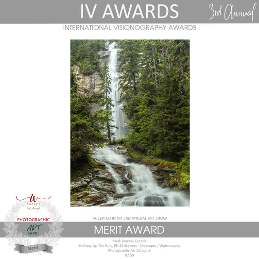 Award IV 6