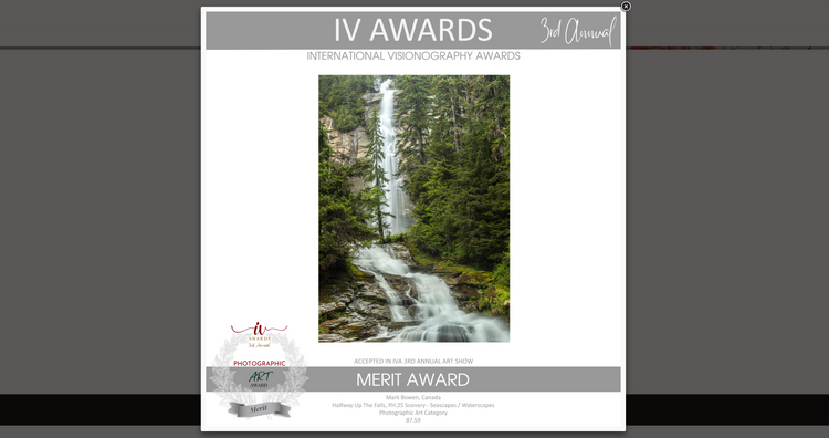 IV Award 3