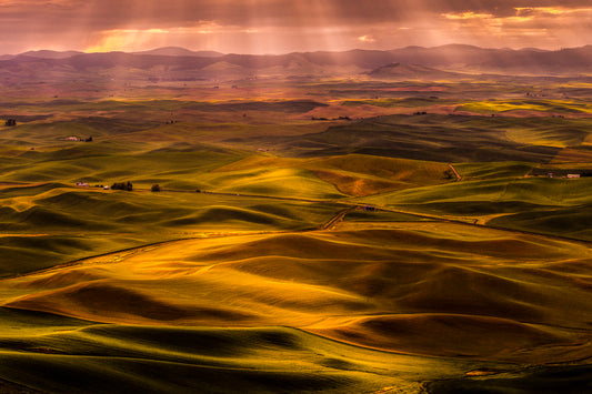 Palouse Sunrise on The Wheat Fields