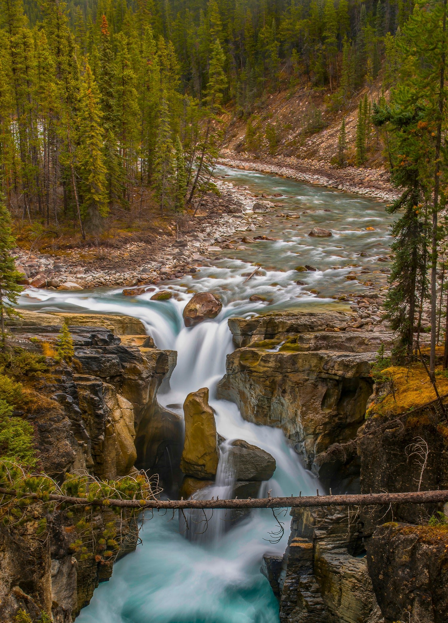 Rhythm of the Rapids