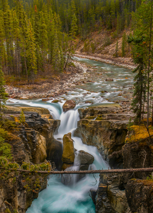 Rhythm of the Rapids