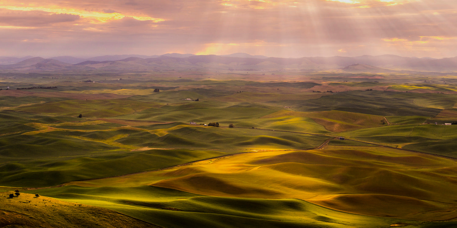 Rolling Hills of the Palouse
