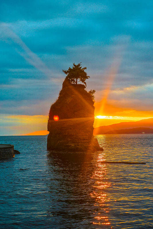 Rooted in Light