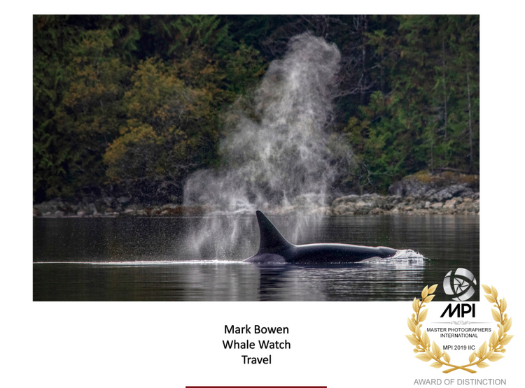 Award whale watch