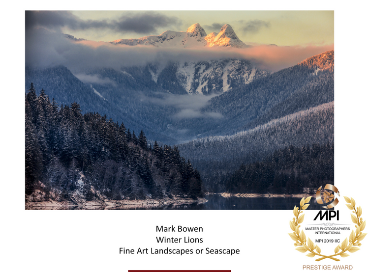 Award Winter Lions