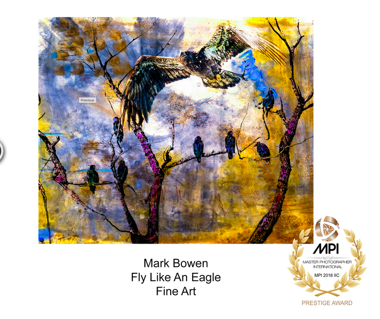 Award fly like an Eagle