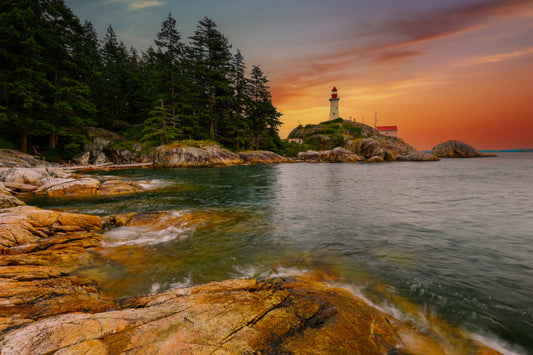 Sentinel of the Coast