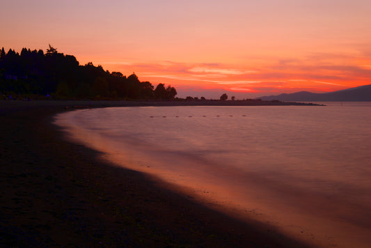 Shoreline Reverie