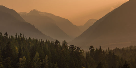 Smoky Mountain 2
