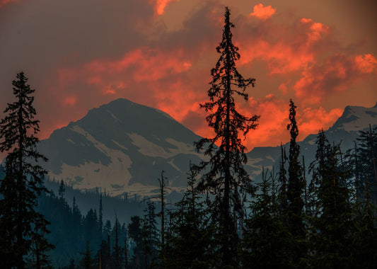 Smoky Mountain 4