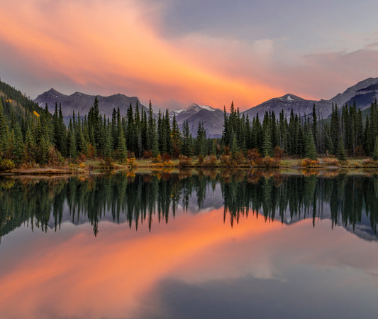 Stillness in Firelight
