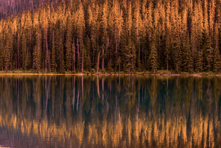 Sunset At Lake