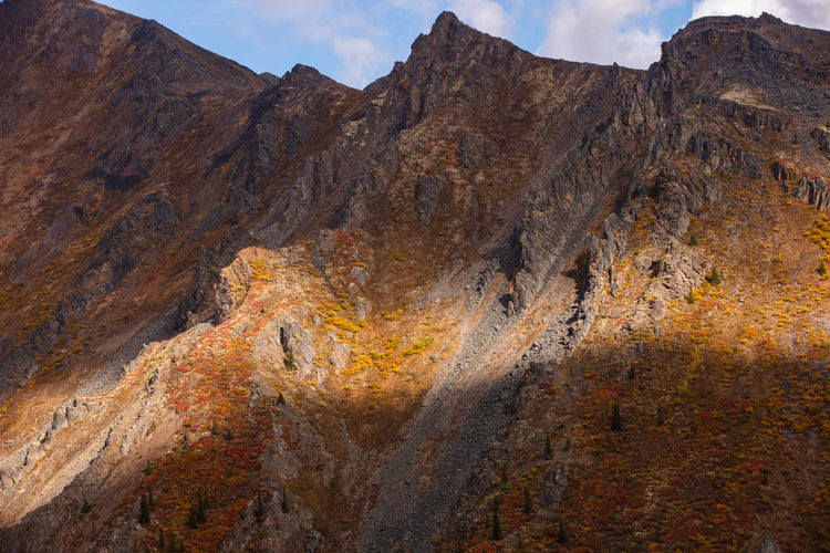 The Painted Rise