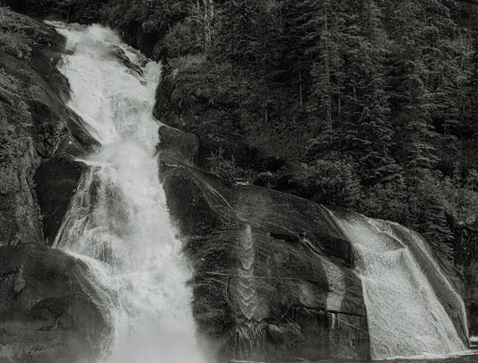 Timeless Flow