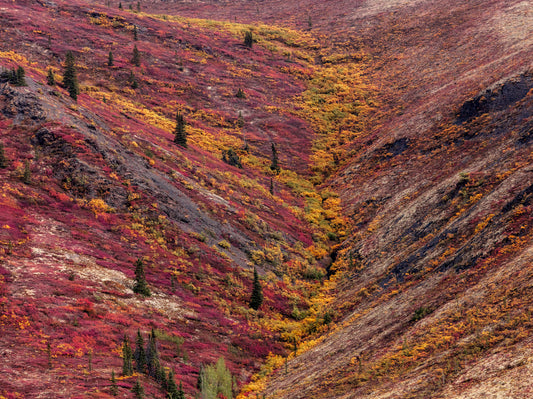 Vibrant Autumn Hillside with Colorful Foliage and Rocky Slopes