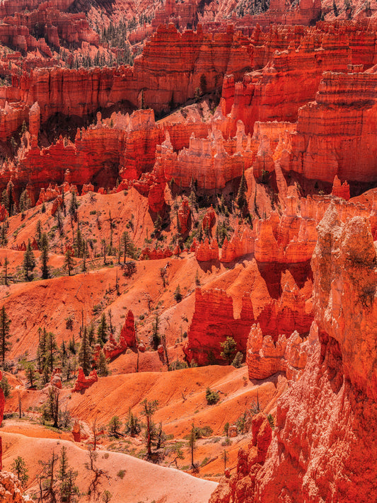 Vibrant Red Rock Formations of Bryce Canyon