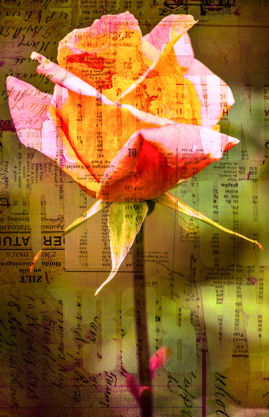Vintage Rose Collage Wall Art