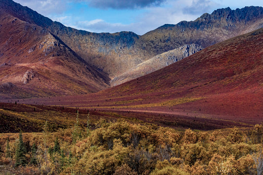 Vivid Autumn Tundra Nestled Among Rugged Peaks