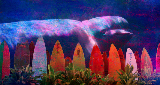 Wave Watch – Boards and Giants