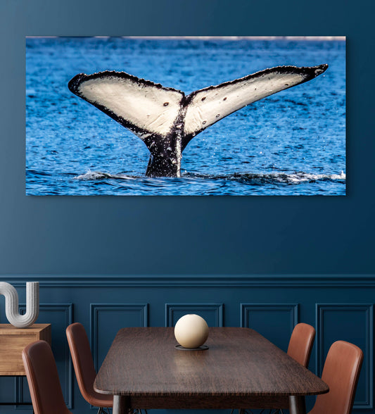 Whale Tail