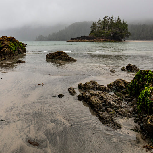 Whispers of the Low Tide