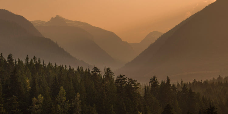 Kootenay fire