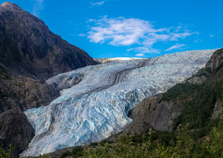 Exit Glacier