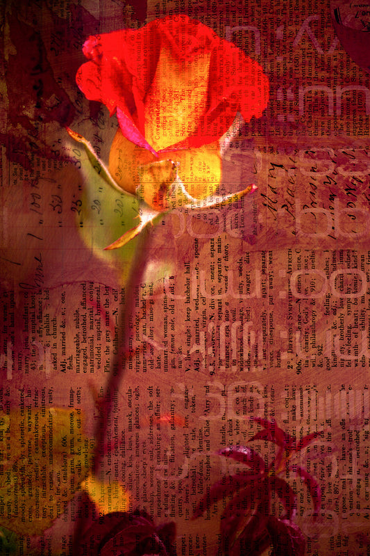 Floral Composite 3