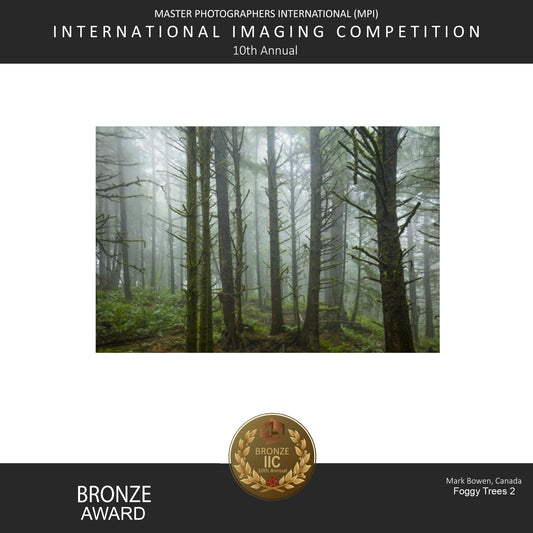 Award Foggy trees 2