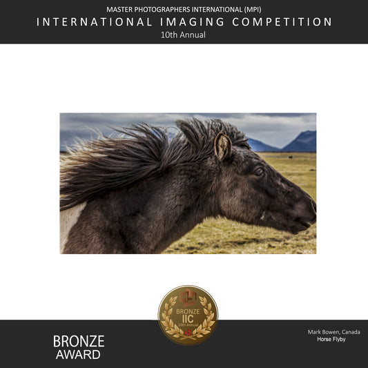 Award horse flyby