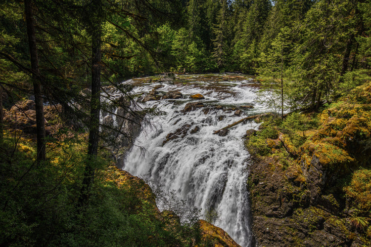 Westcoast Island Falls