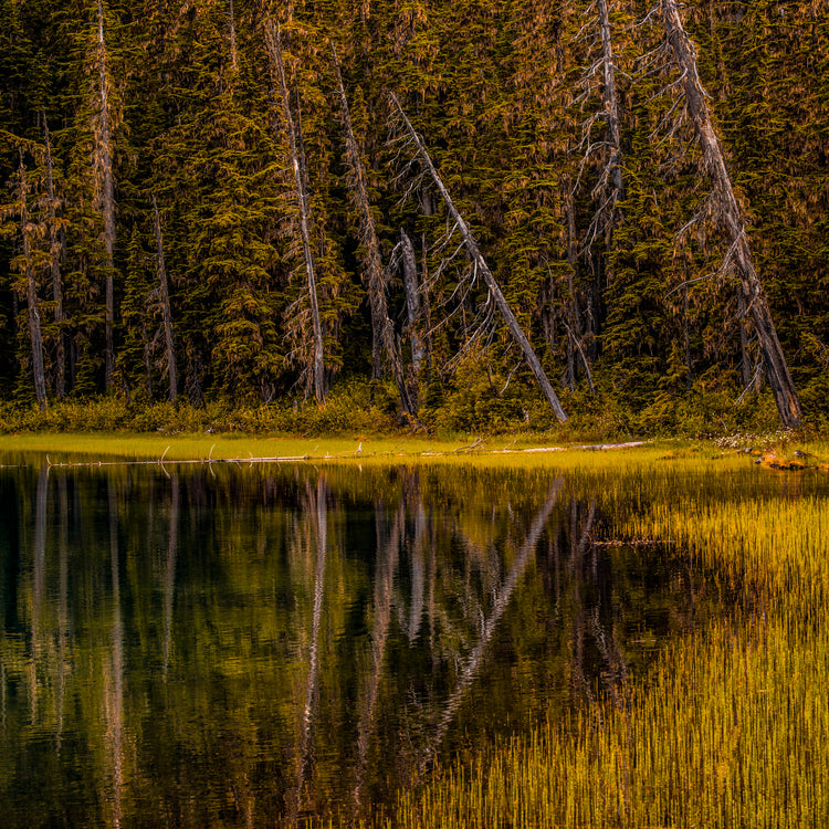 lake hike