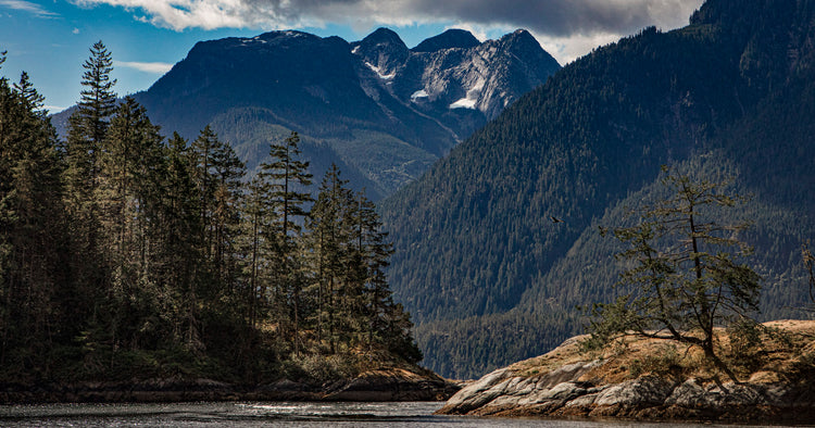 Coast mountains 891