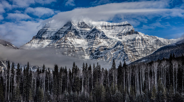 Rockies spendor 6