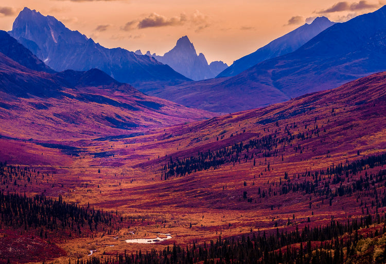 Yukon fall days
